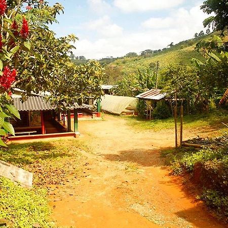 Alojamiento Rural Cafe Yarumo Guest House Buenavista  Luaran gambar