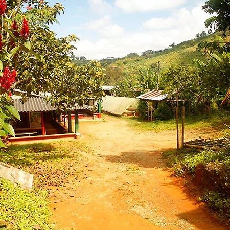 Caficultur -Alojamiento Rural Buenavista  Luaran gambar
