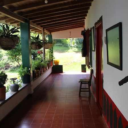 Alojamiento Rural Cafe Yarumo Guest House Buenavista  Luaran gambar