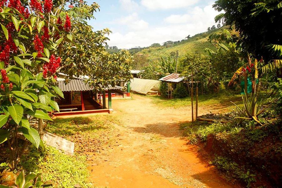 Alojamiento Rural Cafe Yarumo Guest House Buenavista  Luaran gambar