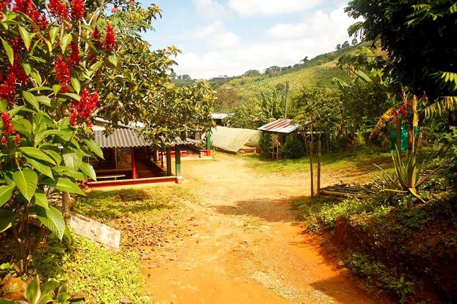 Caficultur -Alojamiento Rural Buenavista  Luaran gambar