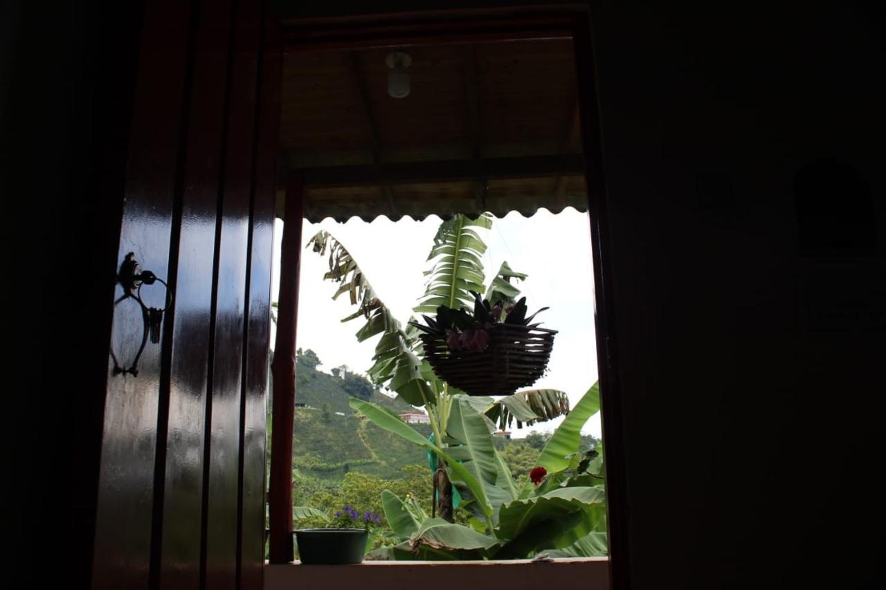 Caficultur -Alojamiento Rural Buenavista  Luaran gambar