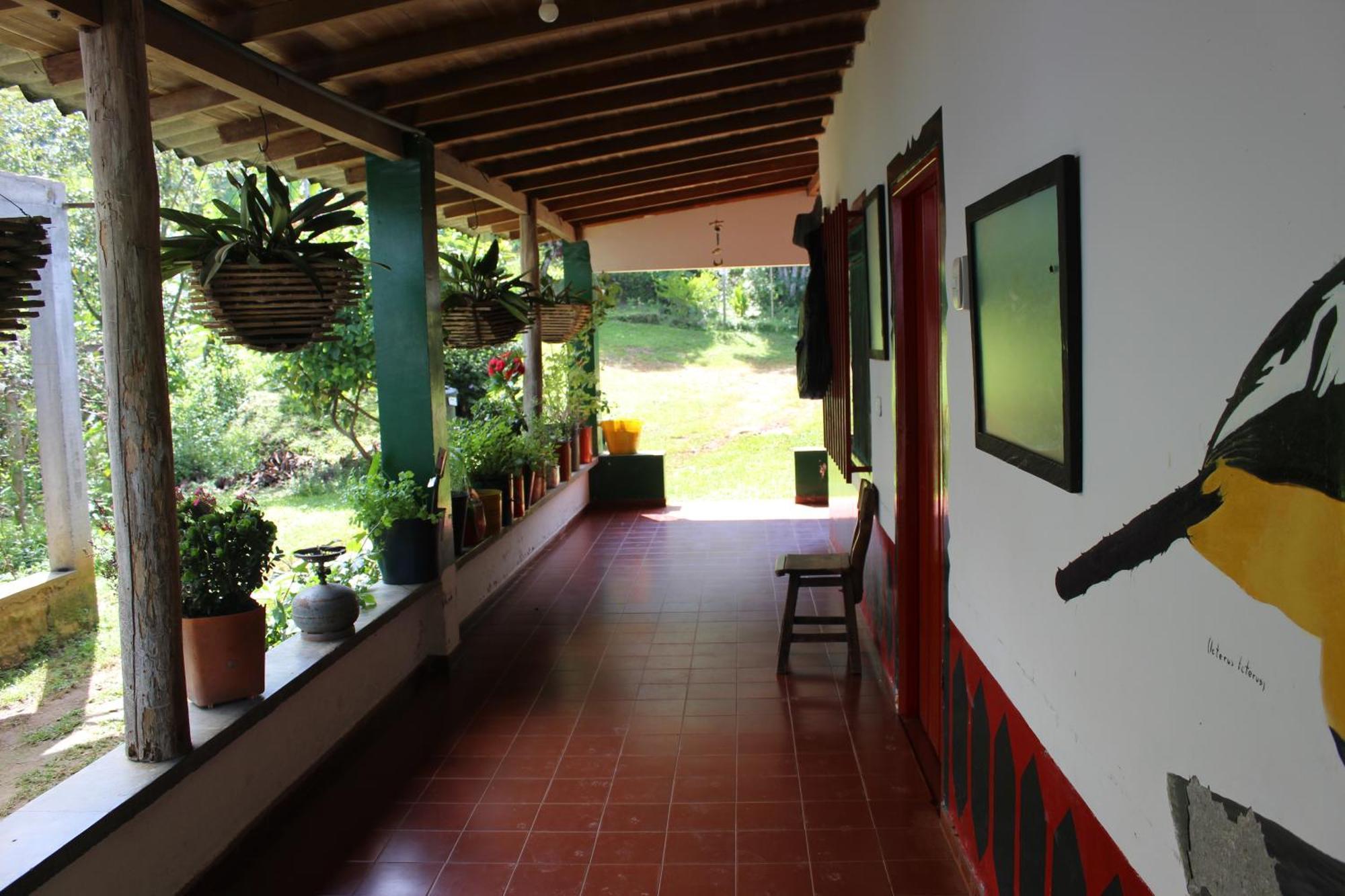 Alojamiento Rural Cafe Yarumo Guest House Buenavista  Luaran gambar